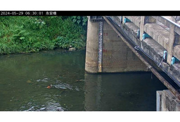 永安橋 334台灣桃園市八德區中華路5巷口號 即時監視器 路況監視器 即時路況影像