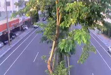 草屯鎮 近 成功路=僑光國小(順樁)