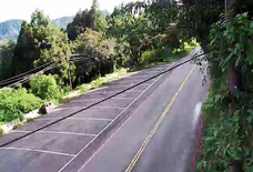 嘉義縣阿里山大客車停車場東向路側(E)