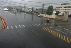 臺17線-雙園大橋(駕訓班路燈桿)